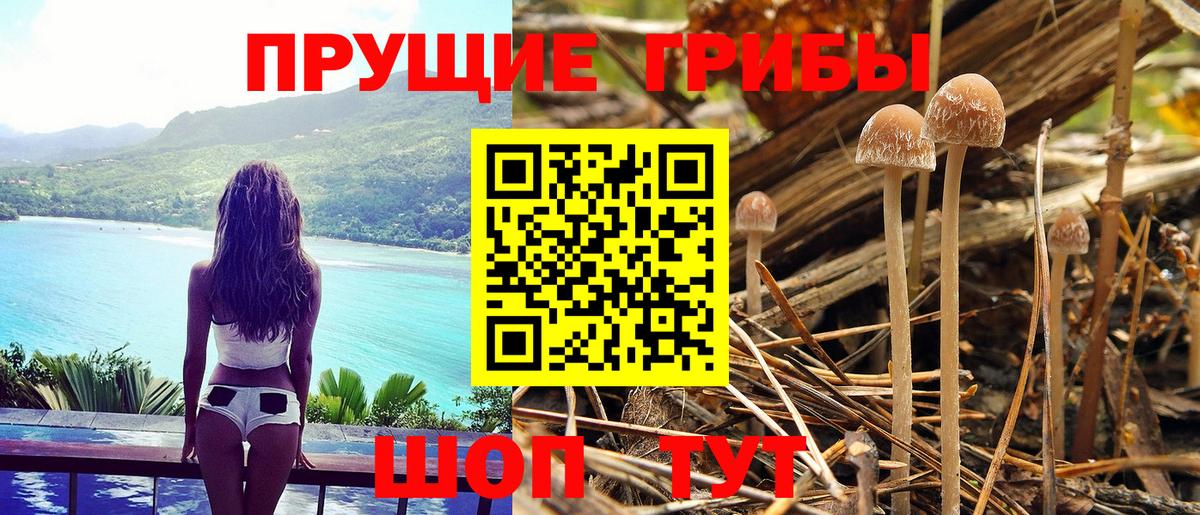 Галлюциногенные грибы мицелий Крымск