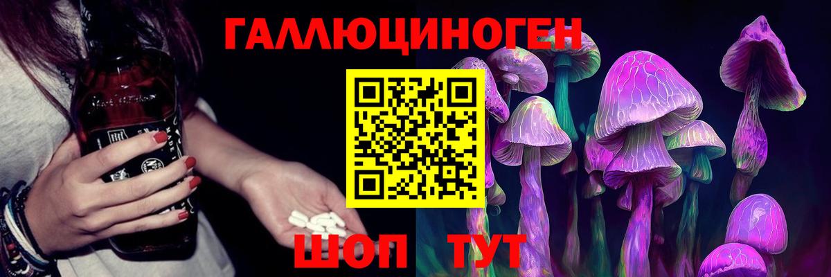 Крымск  Псилоцибиновые грибы MAGIC MUSHROOMS  Галлюциногенные грибы Psilocybine cubensis  Вход с VPN 